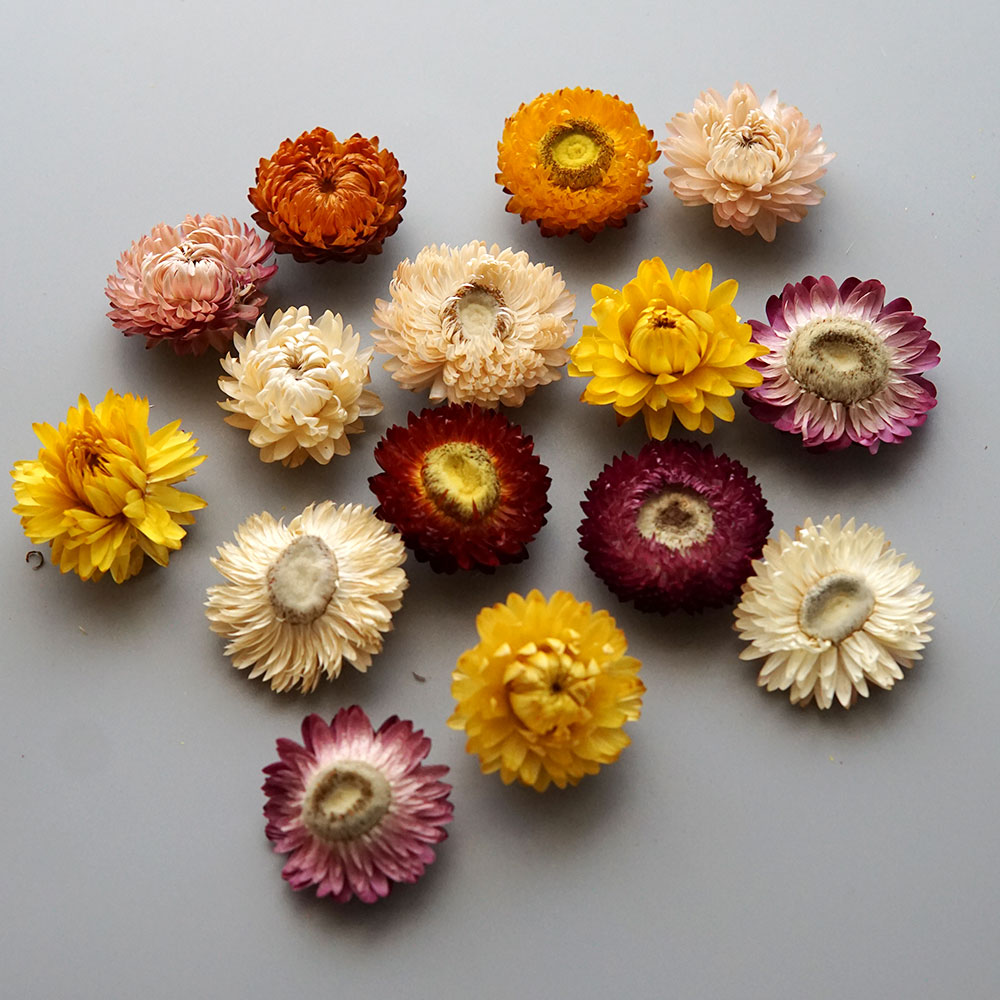 Natural Dried Colorful Chrysan - Baby Products List review and price