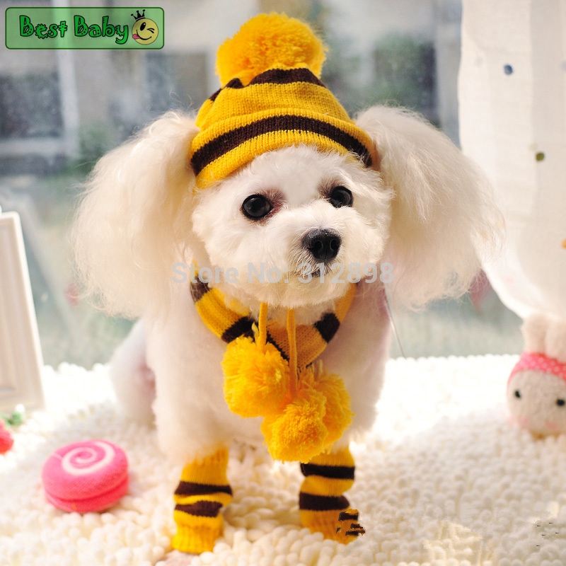 Winter Pet Puppy Accessories F - Baby Products Best review and price